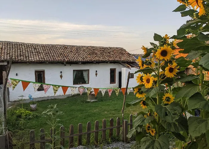 Serendipity Cottage Palamartsa