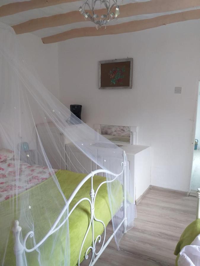 Serendipity Palamartsa Holiday home *