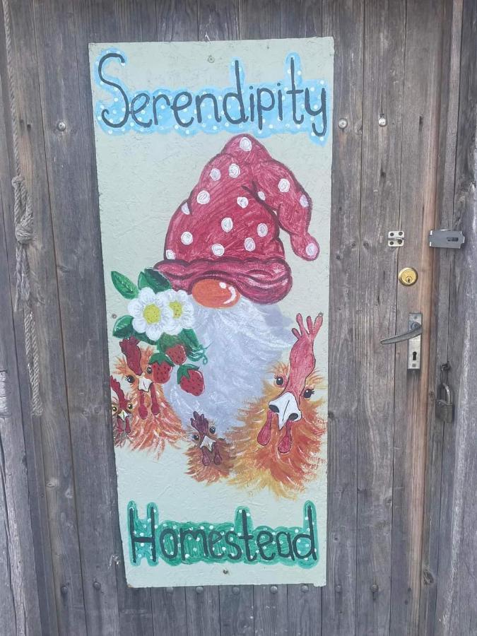 Serendipity Palamartsa